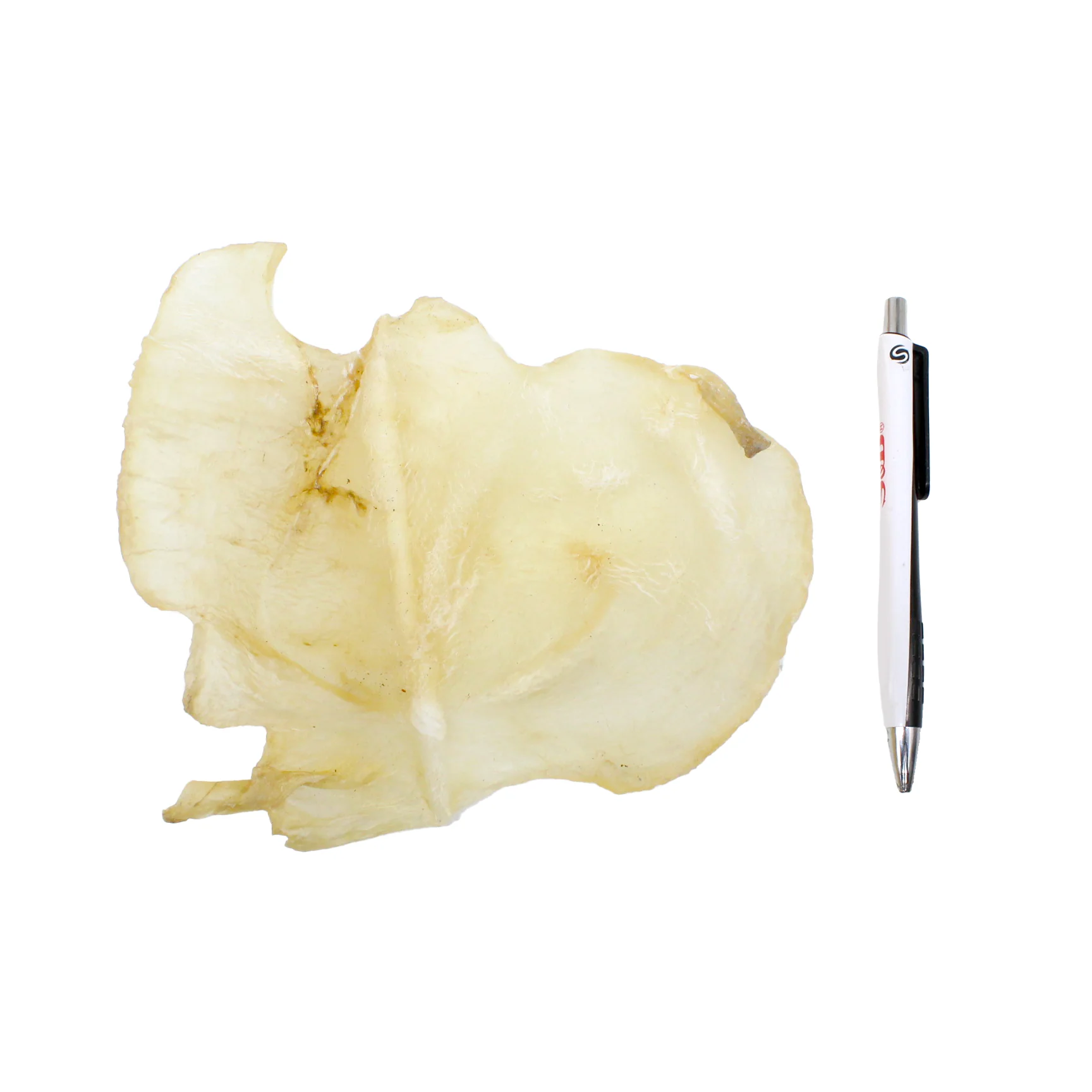 蝴蝶花胶 4-6 头 Dried Butterfly  Fish Maw 4- 6 Count / 1 Lbs - Image 2