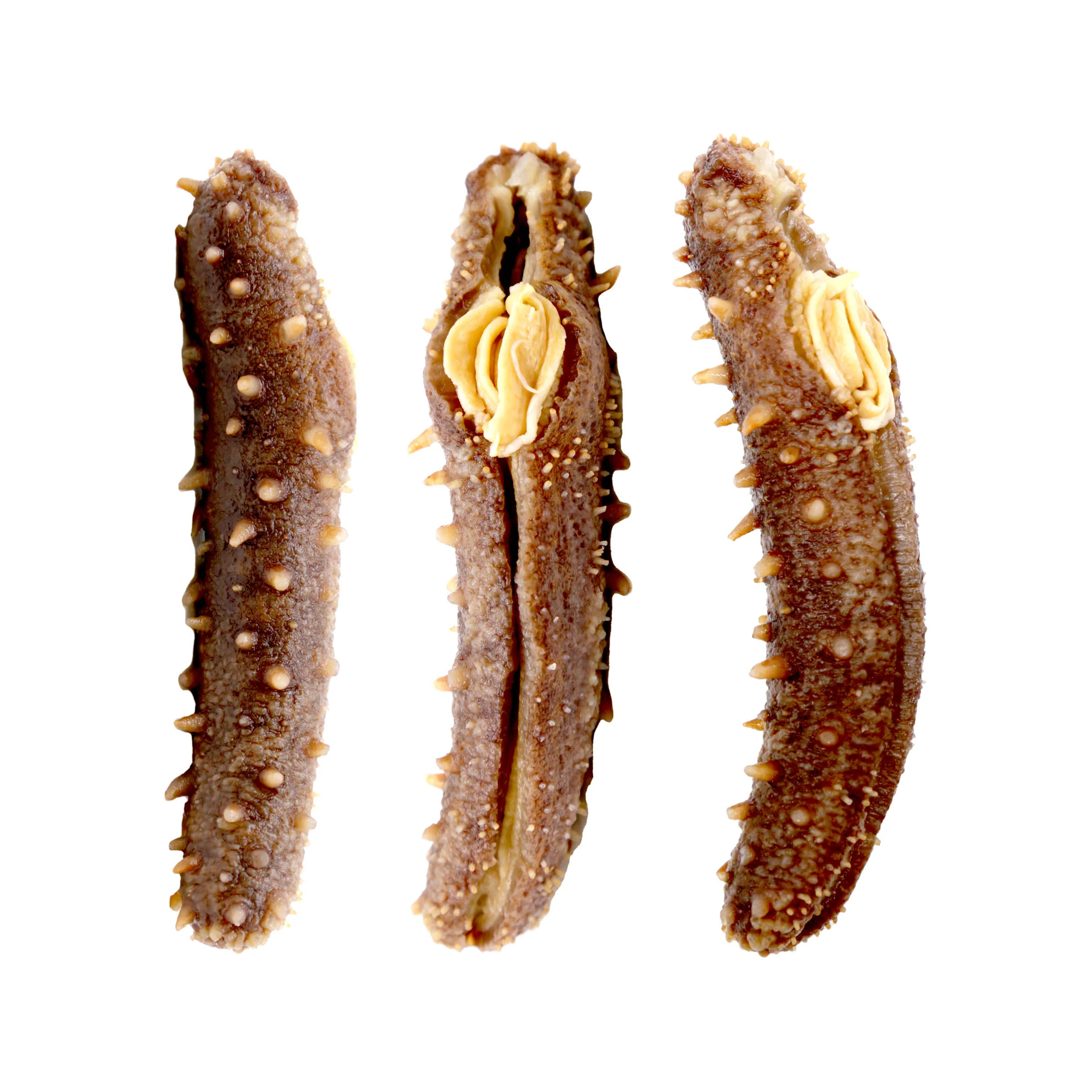 Wild Alaska Dried Sea Cucumber 1 LB Mix Size  - 阿拉斯加红参 - Image 5