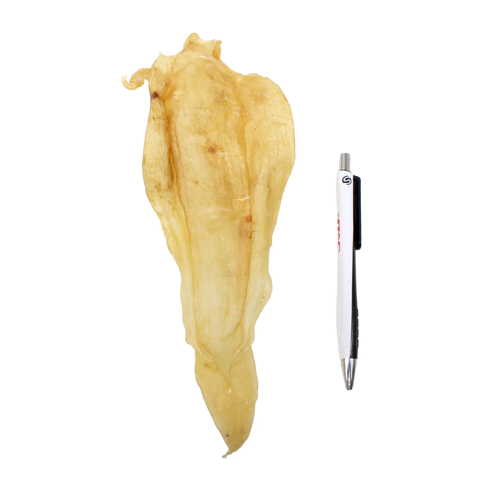 Yellow Dried Fish Maw, Fish Glue, 8 Count 1 Lbs - Image 2